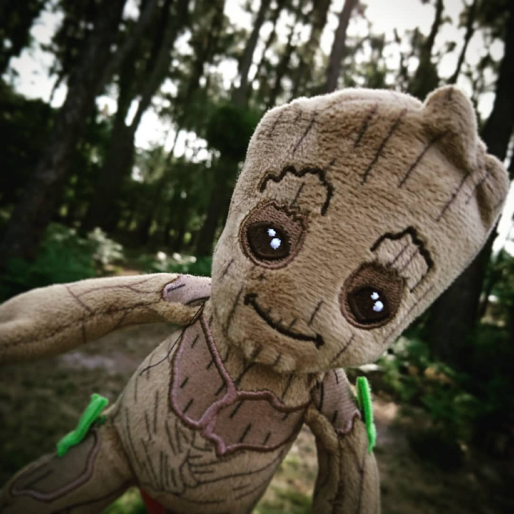 Je Sappelle Groot - Saison 1 ? JE S'APPELLE GROOT ? LES... - Little Chineuse